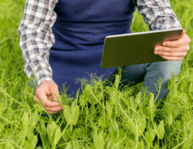 software para field service